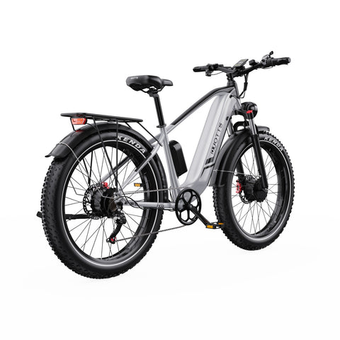Duotts F26 Bicicleta Elétrica - 1500W Bateria 48V 20Ah Três Modos Não dobrável - Prata e branco