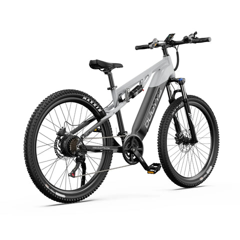 Bicicleta Elétrica Duotts E29 - Motor 250W Bateria 48V13.5AH Travões Hidráulicos - Branco prateado