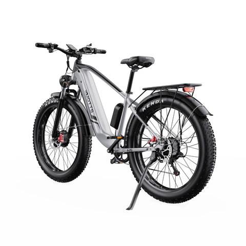 Duotts F26 Bicicleta Elétrica - 1500W Bateria 48V 20Ah Três Modos Não dobrável - Prata e branco