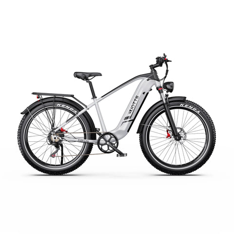 Bicicleta Elétrica Duotts F26 Lite - Motor 500W Bateria 48V18Ah Pneus De 26” Travões Hidráulicos - Prata Branca