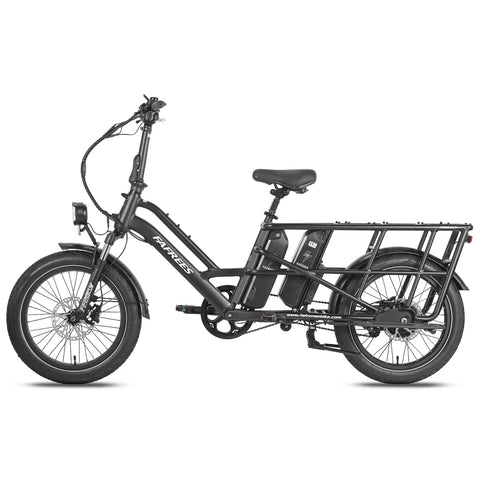 FAFREES FF20 CUV Bicicleta Elétrica - Motor 250W Bateria 48V24Ah 20 Polegadas Pneu Travões Disco Hidráulicos - Preto