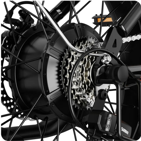 Bicicleta Elétrica JASION RetroVolt - Motor 500W 48V12.5AH Pneus De 20 Polegadas Travões Mecânicos - Cinza