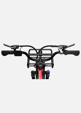 Bicicleta Elétrica ENGWE L20 | 250W | Autonomia 60KM | Cor Rosa
