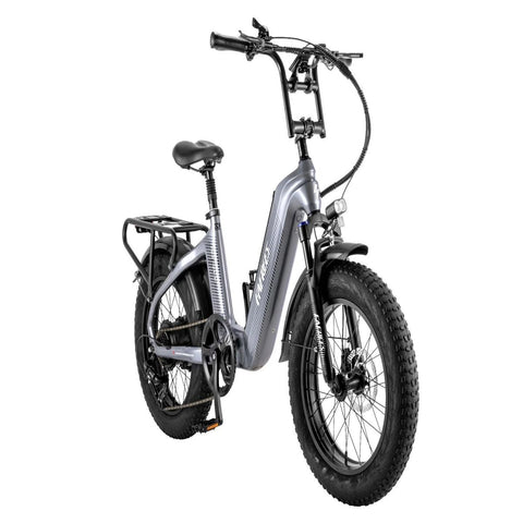 FAFREES F20 Master - Bicicleta Elétrica 500W 1080WH 110KM Autonomia | Cinza metálico