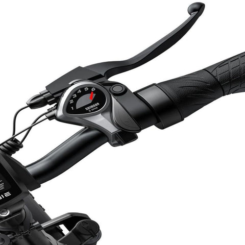 Bicicleta elétrica ENGWE EP-2 PRO | 250W 624WH 40KM Autonomia | Cinza