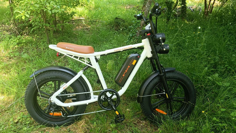 Bicicleta elétrica ENGWE M20 13AH | Potência 750W | Autonomia 60KM