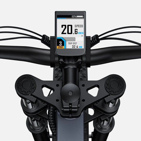ENGWE X26 10AH - Potente bicicleta elétrica | Autonomia de 45KM | Disco de freio | Cor cinza