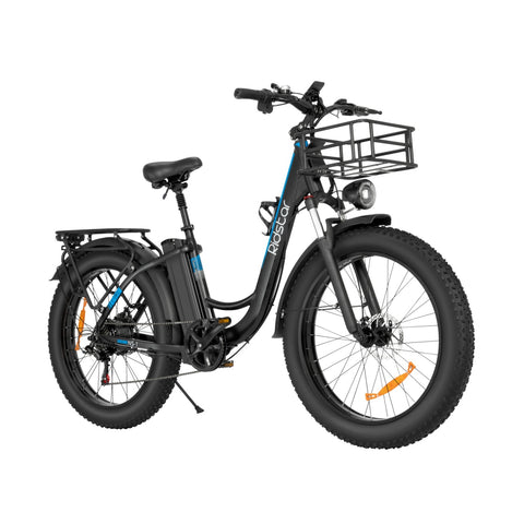 Ridstar MN26 Bicicleta Elétrica - Motor 750W Bateria 48V20Ah Pneus de 26 Polegadas Travão a Disco Mecânico - Preto