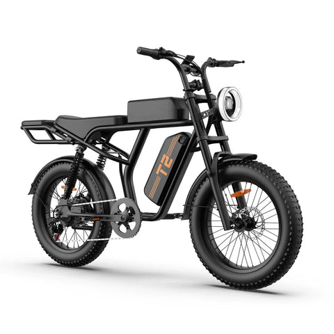 URLIFE T2 E-Bike - Motor 250W Bateria 48V 15.6Ah Travões a Disco Assistência ao Pedal - Preto