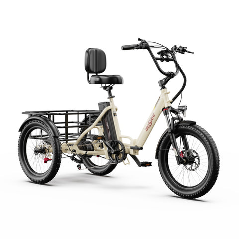 Triciclo Elétrico ONESPORT OT30 PRO - Motor 500W Bateria 48V18AH Pneus De 20 Polegadas Travões Disco – Bege