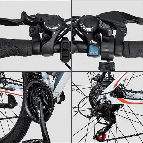 FAFREES Hailong One: Bicicleta Elétrica de 250W | Autonomia de 40KM